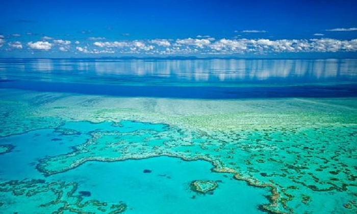 Donations to restore Great Barrier Reef could dry up if land clearing continues